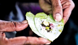 Thực hư chuyện ăn trầu cau gây ung thư vòm họng