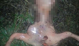 Hoảng hốt khi phát hiện sinh vật kỳ lạ ở California