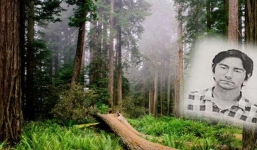 Bác sĩ mất tích 20 năm được tìm thấy ở trong rừng