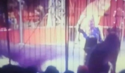 Video: Sư tử bất ngờ vồ nữ huấn luyện viên khi đang biểu diễn