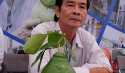 Gần 1,5 triệu đồng/quả bưởi hình bản đồ Việt Nam