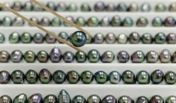 Vì sao ngọc trai Tahiti chục tỷ đồng được săn lùng?