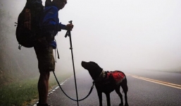 Chú chó dẫn chủ nhân bị mù đi phượt khắp thế giới