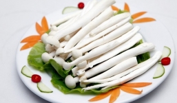 Nấm và công dụng bất ngờ đối với sức khỏe