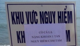 Cá 'khổng lồ' nặng 1 tấn bơi dọc bờ biển Tuy Hòa nghi cá voi