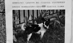 Những đại gia chi bộn tiền truy tìm thú cưng mất tích