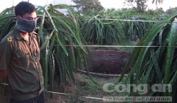 Nam thanh niên chết bí ẩn dưới giếng