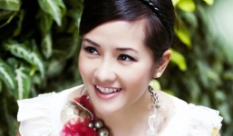 Băng rôn liveshow Hồng Nhung bị phun sơn giữa mặt