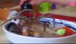 Dân mạng bất ngờ vì mực đã chết 'nhảy múa' trong bát súp