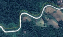 Bắt 1 trong 4 đối tượng cướp taxi, trốn vào rừng