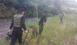 Đã bắt được hai tên cướp taxi, trốn trong rừng sâu