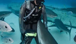 Cận cảnh người đàn ông hôn cá mập