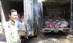 Phát hiện gần 5 tấn thịt lợn chết, nổi hạch bán ra thị trường