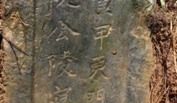 Phát hiện mộ cổ hơn 500 tuổi ở giữa cánh đồng