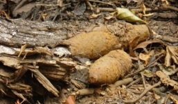 Đào giun trúng đầu đạn, 2 thanh niên chết thảm