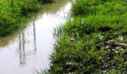 Xót thương bé trai 3 tuổi đi tìm mẹ, ngã xuống mương nước tử vong