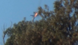 Tổng thống Putin nổi giận sau vụ Su-24 Nga bị bắn rơi