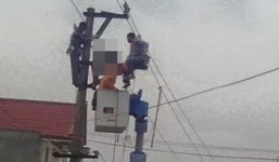 Hải Phòng: Thi thể người đàn ông treo lơ lửng trên dây điện