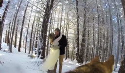 Cặp đôi nhờ chó cưng làm thợ quay phim đám cưới