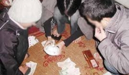 Ba thầy giáo tiểu học bị thôi việc vì đánh bạc