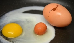 Hiện tượng hiếm gặp: Trứng trong trứng