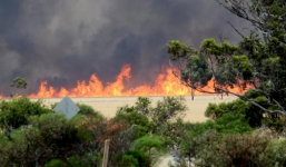 Video: Lao xe qua đám cháy, tài xế thoát trong gang tấc