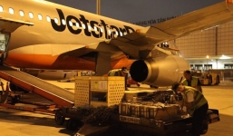 Máy bay Jetstar Pacific chở lợn rừng ra đảo Phú Quốc