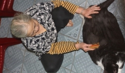 Điểm lại 10 sự kiện tin tức thời sự hot nhất trong tuần