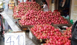 Táo 1.000 đồng/kg, thanh long 5.000 đồng/kg, dân đổ cho bò ăn