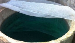 Chị chồng đổ thuốc diệt cỏ vào bể nước đầu độc em dâu