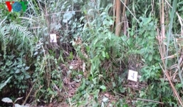 Người đàn ông bị sát hại trong rừng: Bắt khẩn cấp 2 đối tượng