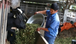 Những cử nhân bỏ bằng về quê, thu nhập cả trăm triệu/tháng