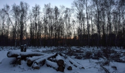 Lính đảo ngũ Nga bị bắt sau hơn 10 năm lẩn trốn trong rừng