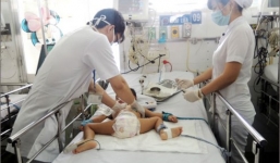 TP HCM: 17.700 ca mắc bệnh, 7 ca tử vong vì sốt xuất huyết