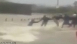 Ấn Độ: Xúc động trước màn giải cứu người đàn ông bị lũ cuốn trôi