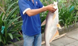 Ngư dân bắt được cá basa “khủng” nặng 9kg