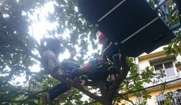 Hà Nội: Giải cứu người đàn ông nghi 'ngáo đá' trèo lên cây