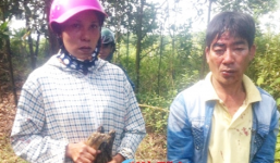 Rủ nhau đi trộm chó, 2 vợ chồng bị người dân đánh trọng thương