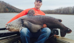 Bắt được 'thủy quái' cá trê xanh 30 tuổi, nặng 41kg