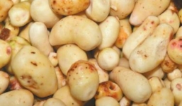 Khoai môn tẩy trắng, mì chính bán theo cân gây hoang mang