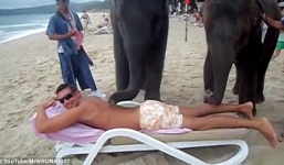 Cận cảnh voi massage cho người