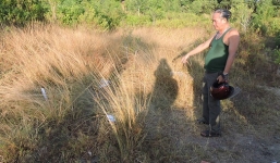 Phát hiện thi thể phụ nữ trong bụi cây nghi bị xâm hại