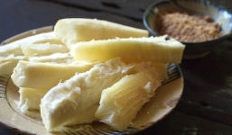 Lợi ích của sắn (khoai mì) ít người biết