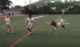 Người đẹp bẽ bàng sau khi bị chàng trai hạ đo ván