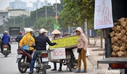 Hình thành phố hoa quả giá rẻ nhất Hà Nội