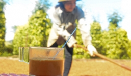 Chuyện ngược đời ở thủ phủ café Việt