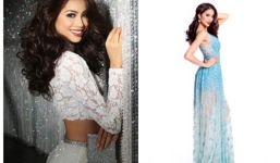 Nhan sắc Phạm Hương bị chê già dặn trong ảnh chính thức Hoa hậu Hoàn vũ