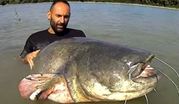 Bắt được 'thủy quái' nặng 50kg trên sông