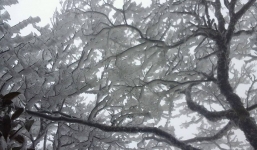 Xuất hiện hiện tượng tuyết rơi tại Sủng Là