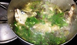 Thiếu gia Hà thành nấu cá Rồng chục triệu om dưa đãi bạn